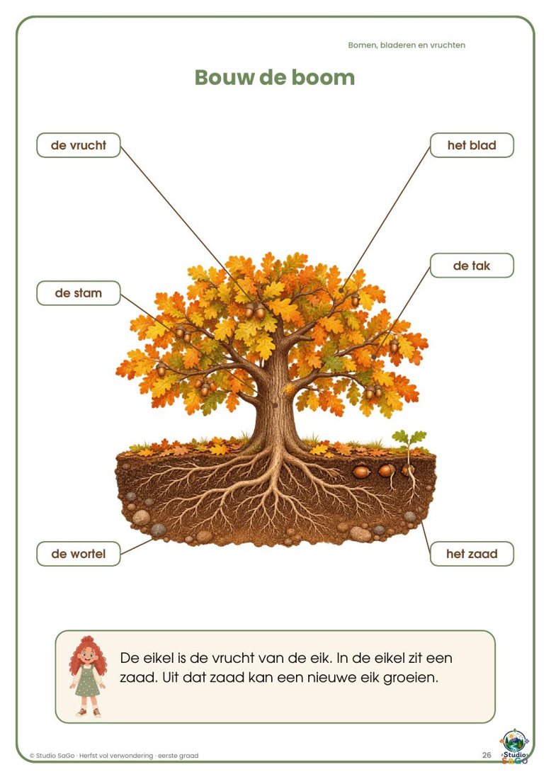 Voorbeeld 1 uit Herfst vol verwondering | eerste graad – complete bundel