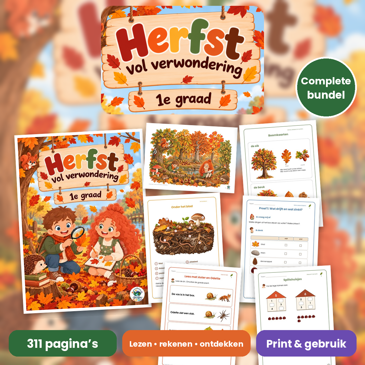 Herfst vol verwondering | eerste graad – complete bundel