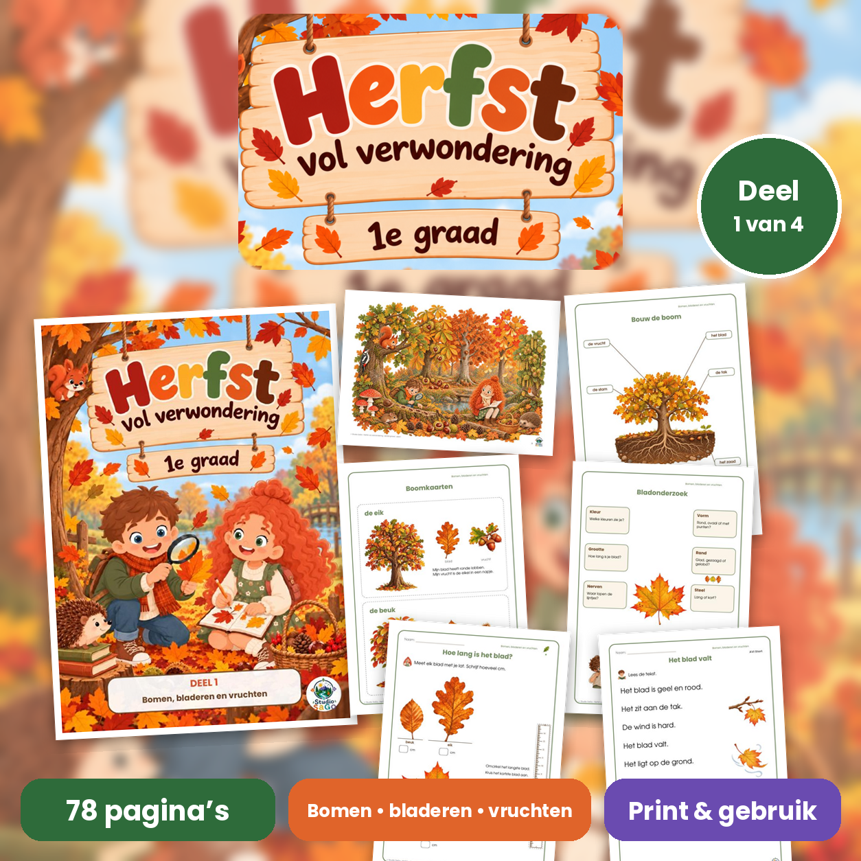 Herfst vol verwondering | eerste graad – Deel 1: Bomen, bladeren en vruchten