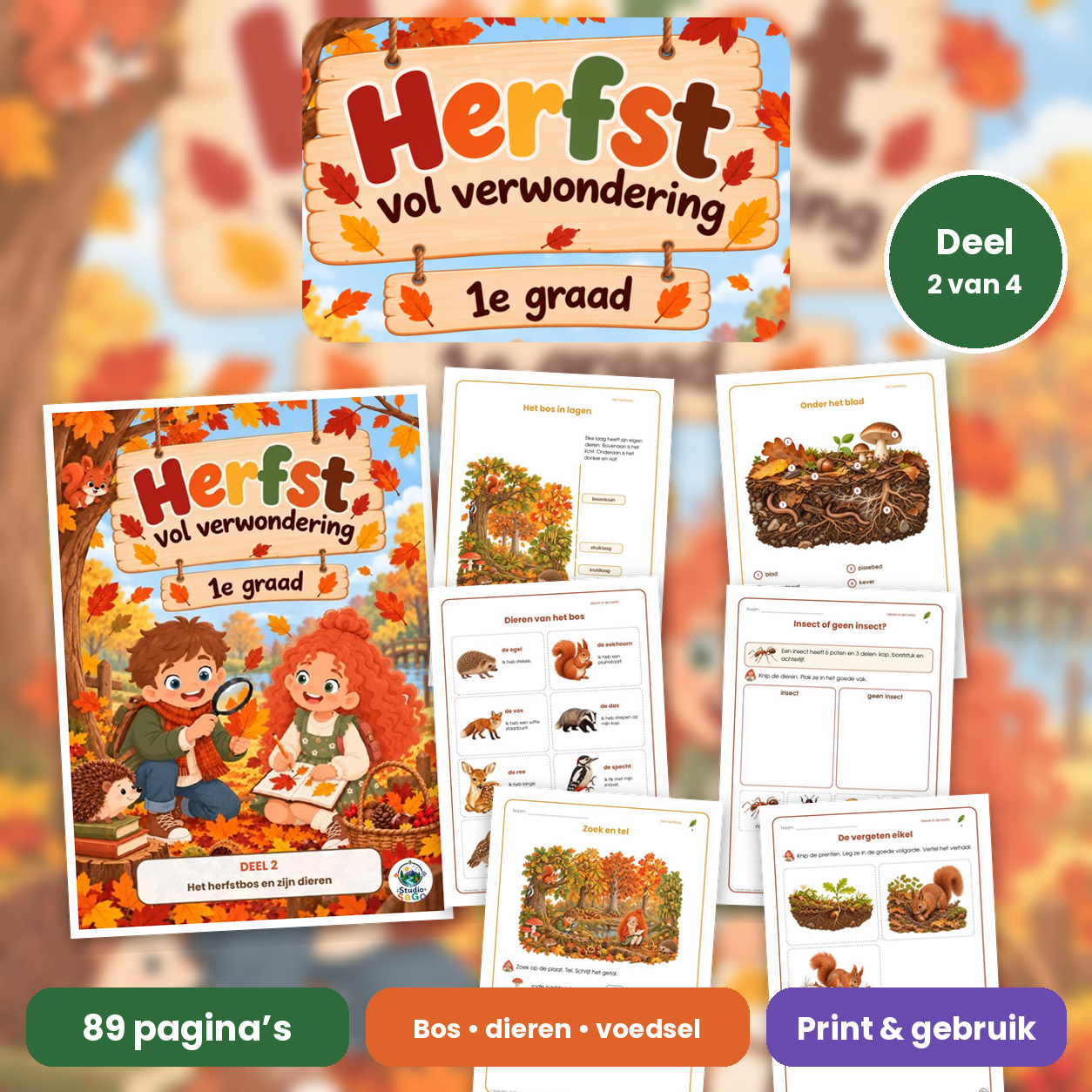 Voorblad van Herfst vol verwondering | eerste graad – Deel 2: Het herfstbos en zijn dieren