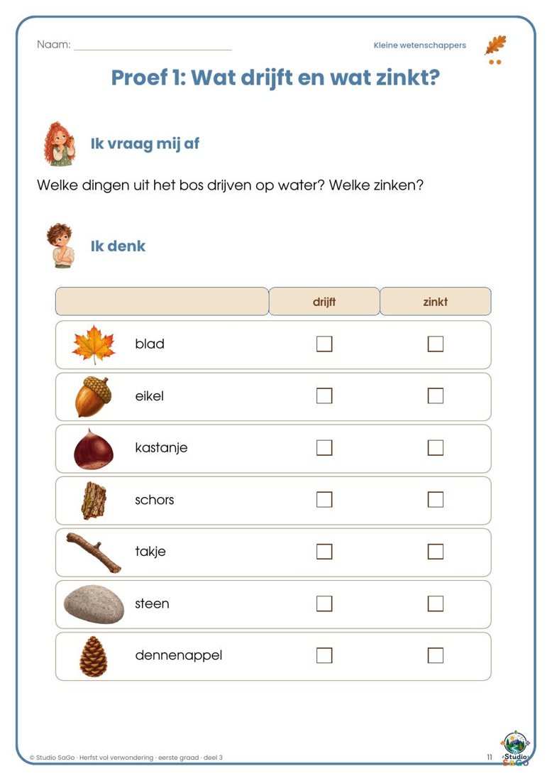 Voorbeeld 1 uit Herfst vol verwondering | eerste graad – Deel 3: Onderzoeken, ontwerpen en creëren