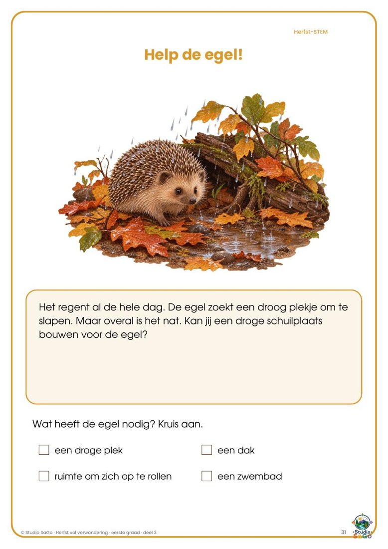 Voorbeeld 2 uit Herfst vol verwondering | eerste graad – Deel 3: Onderzoeken, ontwerpen en creëren
