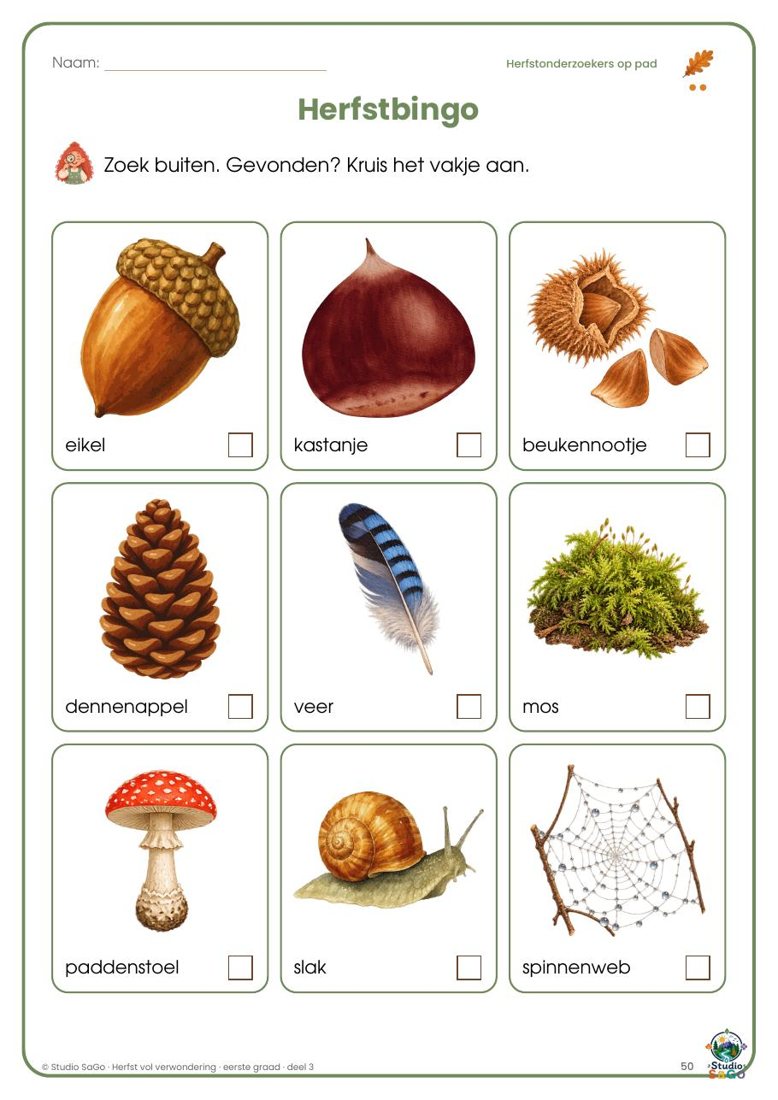 Voorbeeld 3 uit Herfst vol verwondering | eerste graad – Deel 3: Onderzoeken, ontwerpen en creëren
