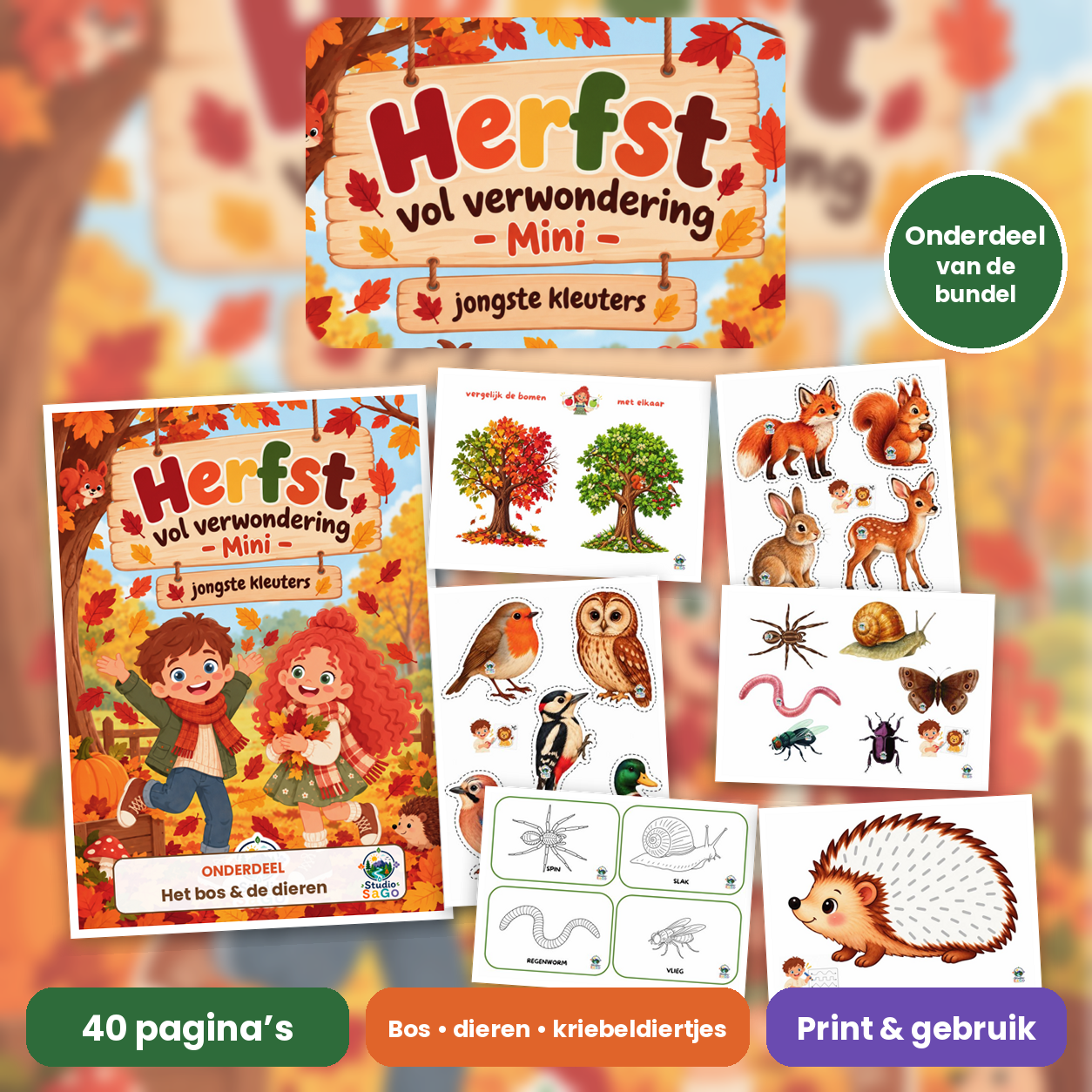 Voorblad van Herfst vol verwondering – Mini | jongste kleuters – Het bos & de dieren