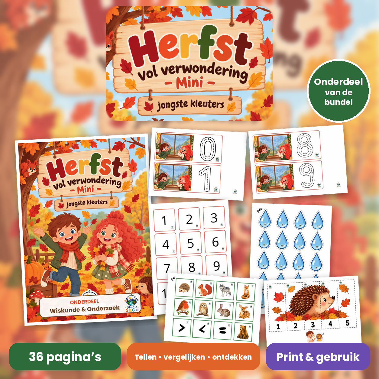Voorblad van Herfst vol verwondering – Mini | jongste kleuters – Wiskunde & Onderzoek