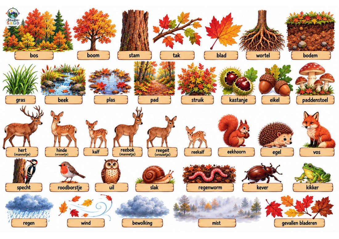 Voorbeeld 1 uit Herfst vol verwondering – Mini | oudste kleuters – Het bos & de dieren