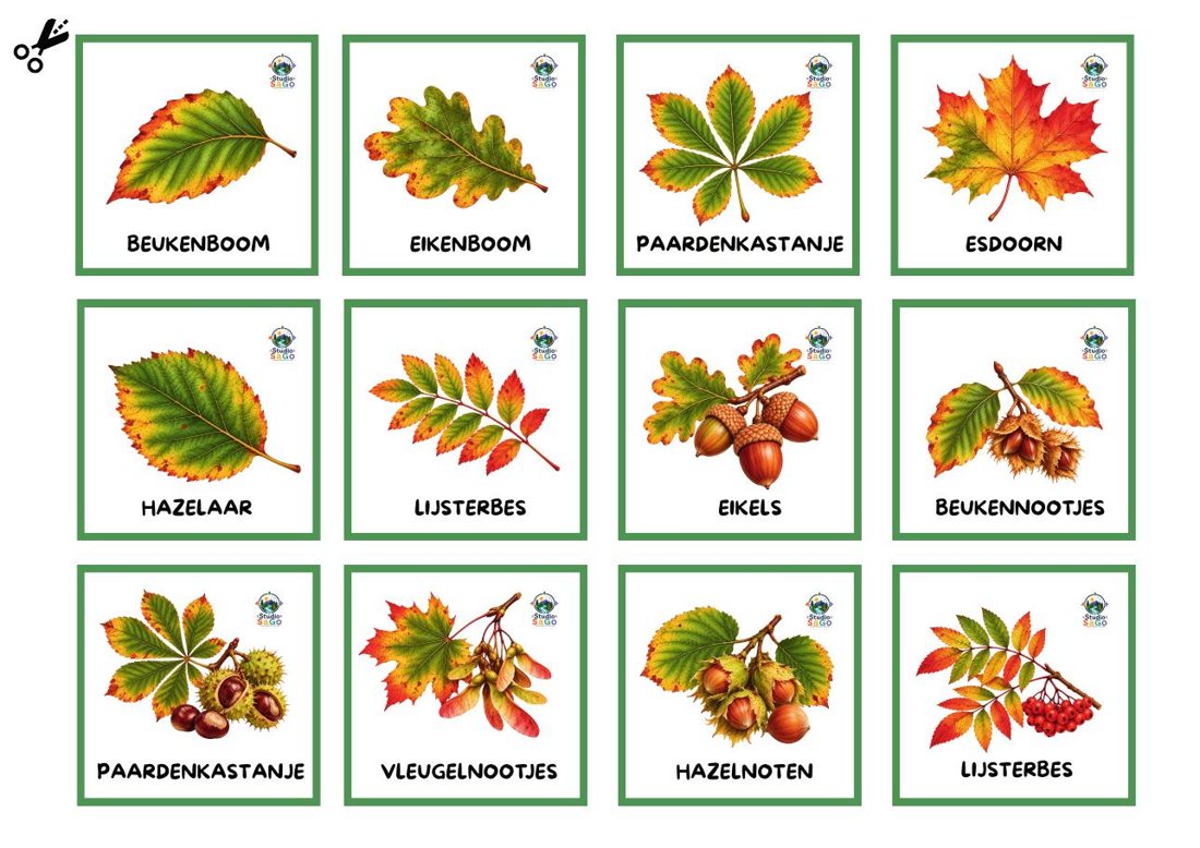 Voorbeeld 2 uit Herfst vol verwondering – Mini | oudste kleuters – Het bos & de dieren