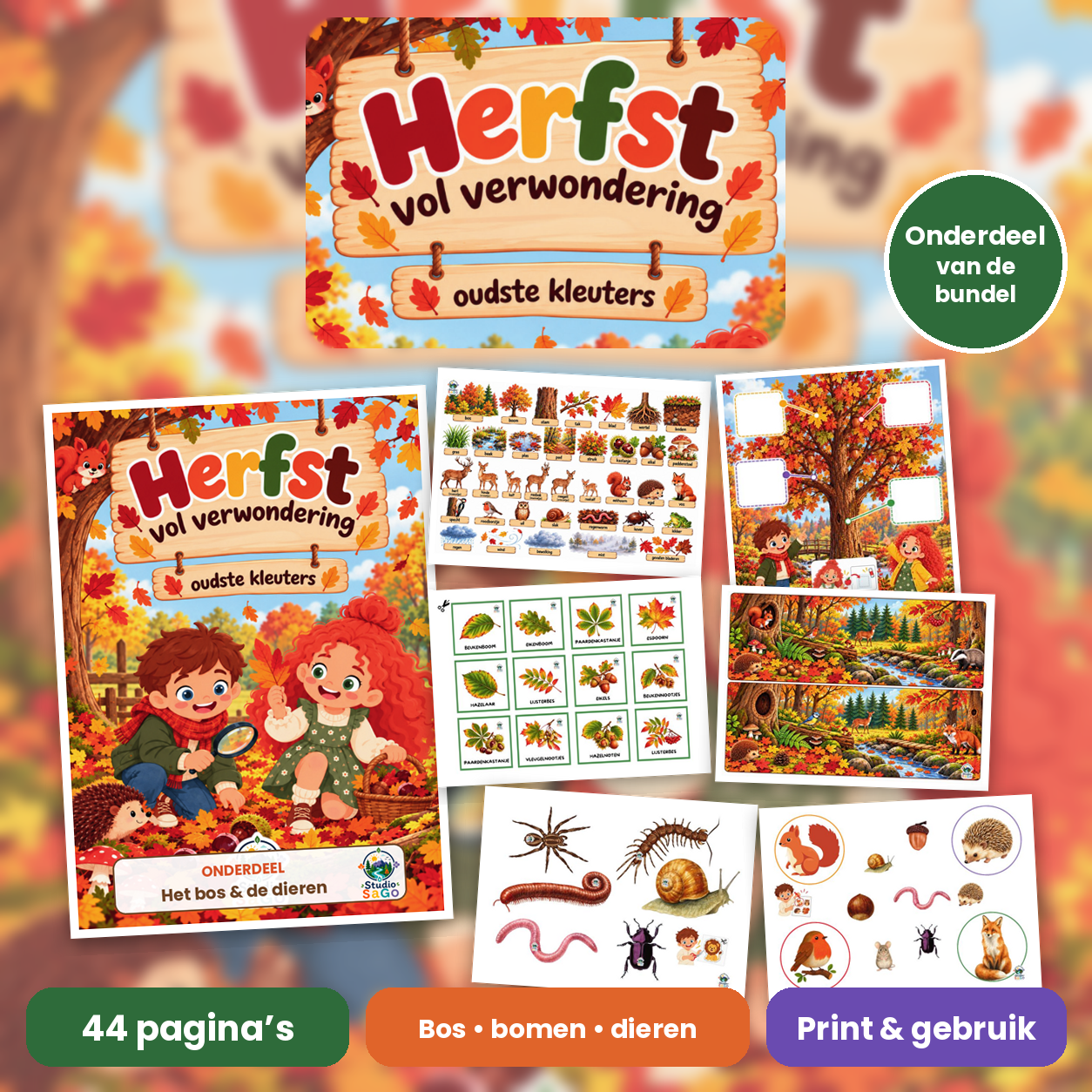 Voorblad van Herfst vol verwondering – Mini | oudste kleuters – Het bos & de dieren
