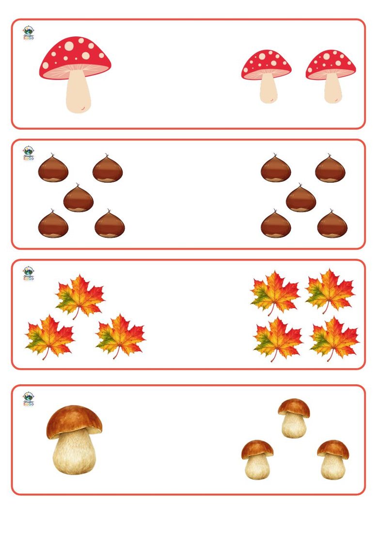 Voorbeeld 2 uit Herfst vol verwondering – Mini | oudste kleuters – Wiskunde & Onderzoek