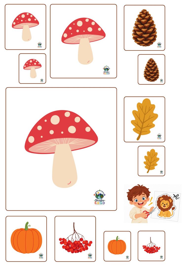 Voorbeeld 3 uit Herfst vol verwondering – Mini | oudste kleuters – Wiskunde & Onderzoek