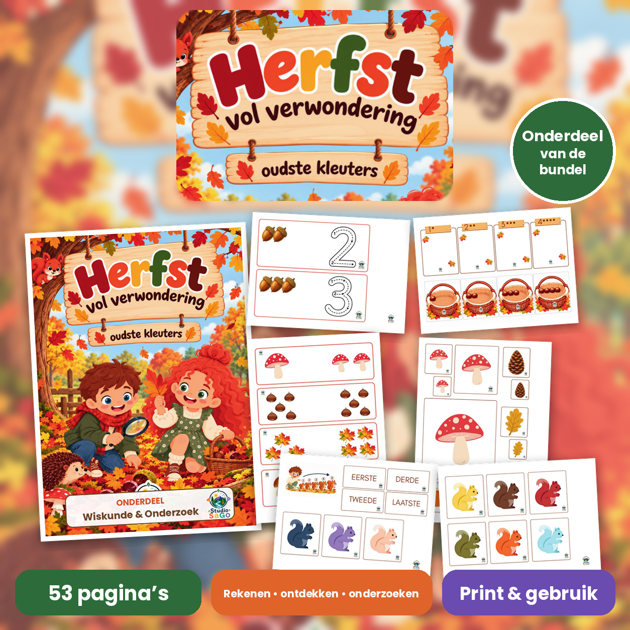 Voorblad van Herfst vol verwondering – Mini | oudste kleuters – Wiskunde & Onderzoek